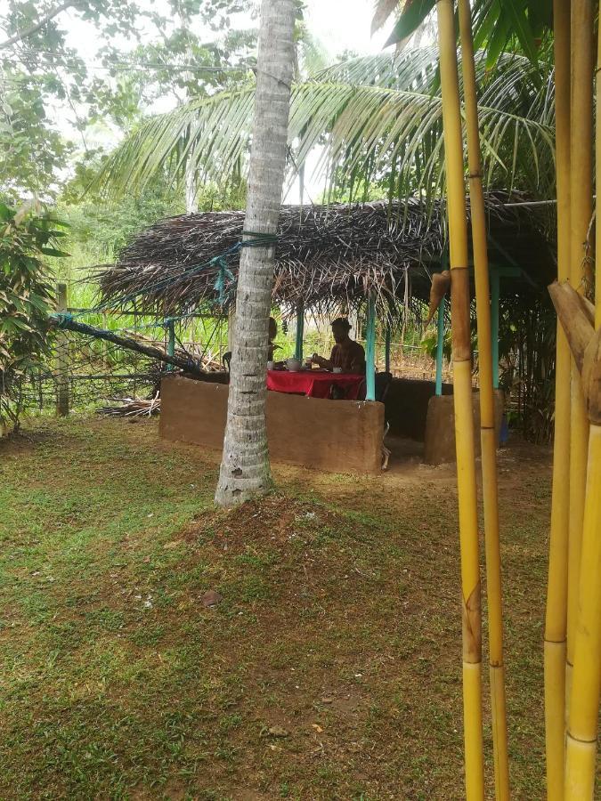 Bamboo Home Stay Hiriketiya Dickwella Exterior foto