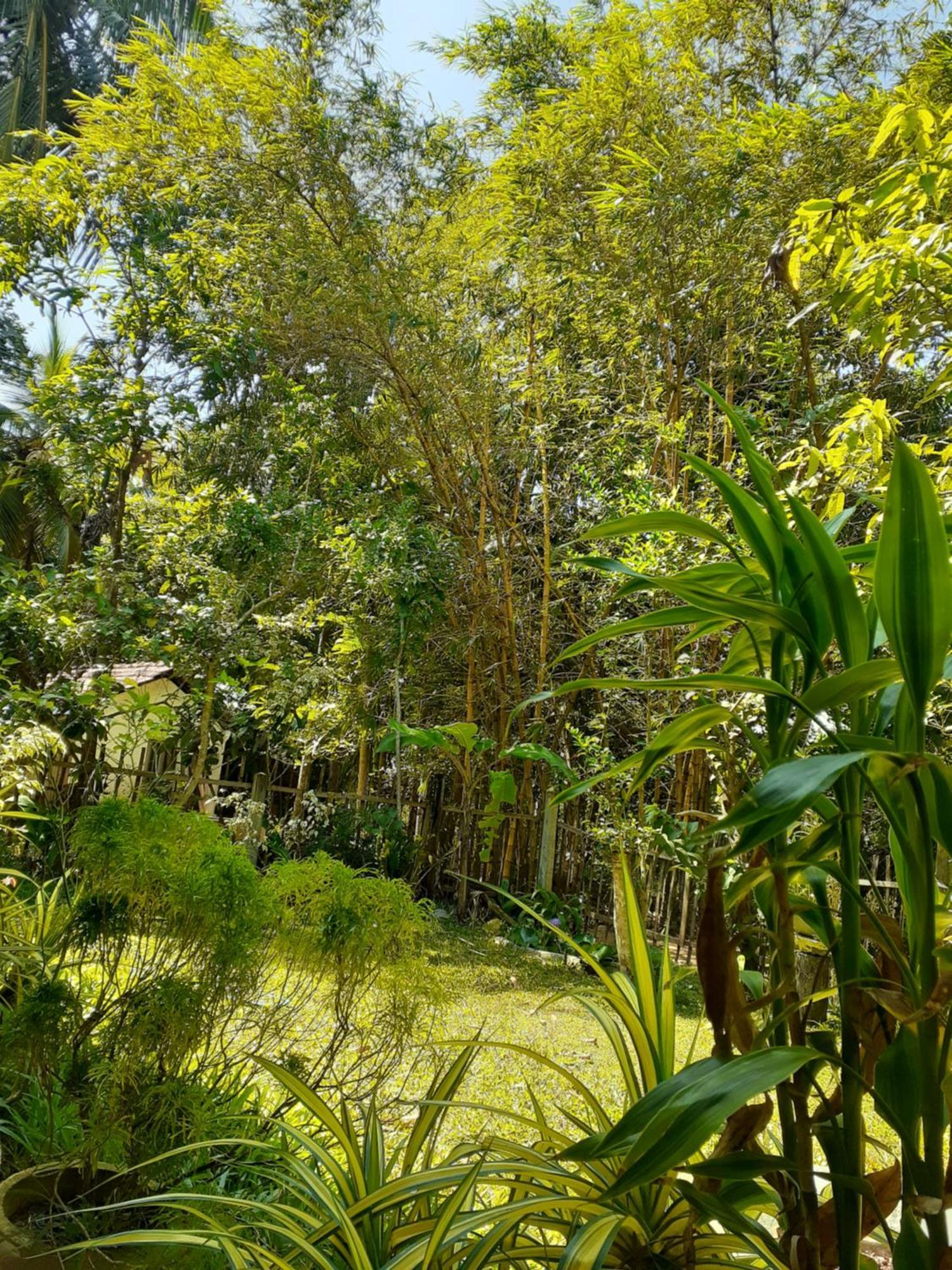 Bamboo Home Stay Hiriketiya Dickwella Exterior foto